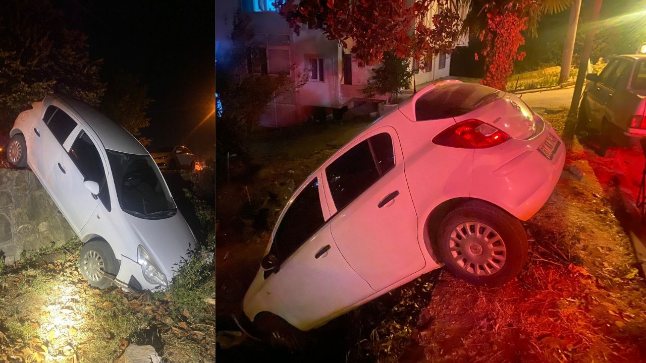 Akçakoca'da Kadın Sürücü Direksiyon Hakimiyetini Kaybederek Bahçeye Uçtu