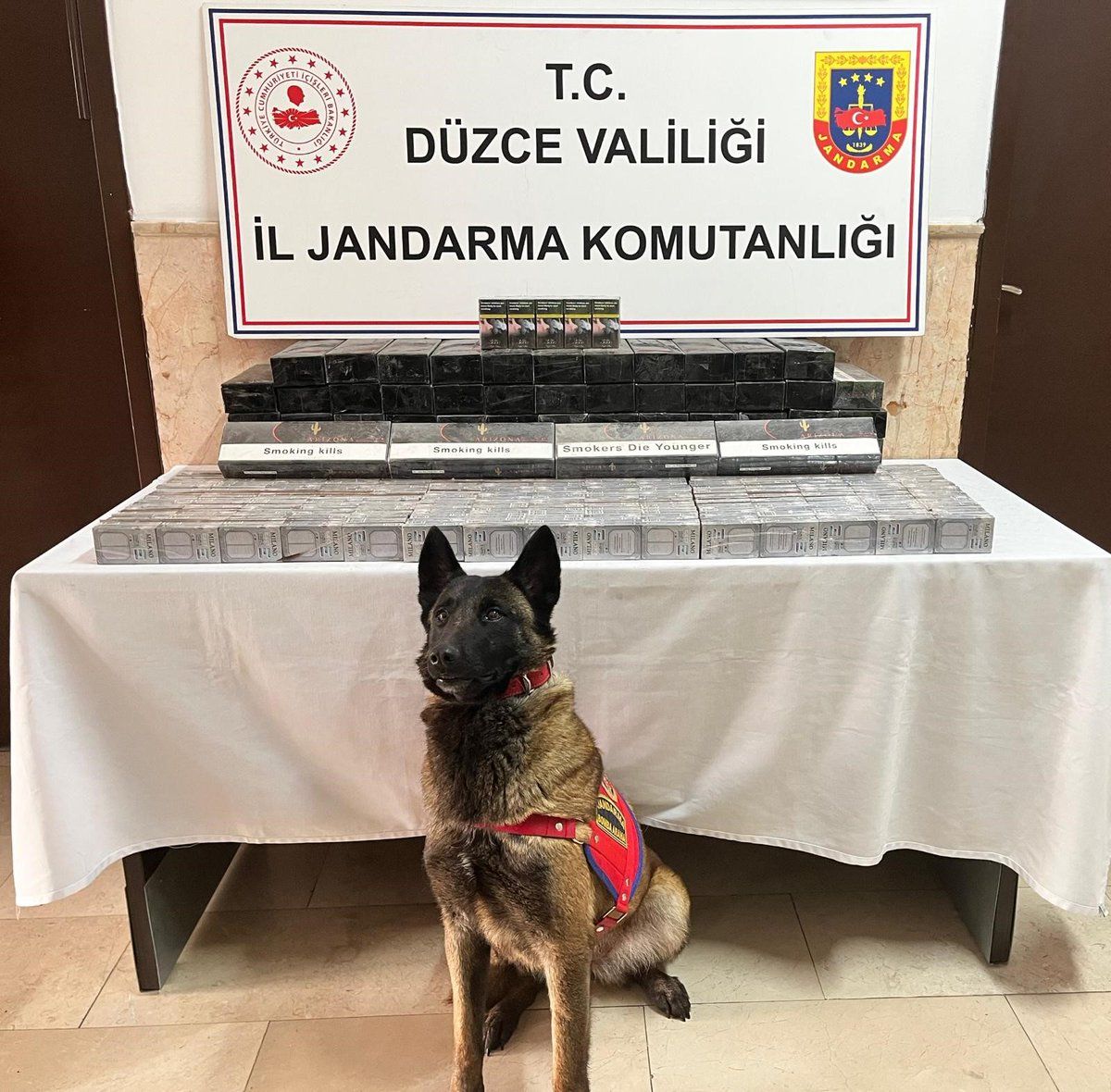 ANADOLU OTOYOLU ÜZERİNDE YAPILAN DENETİMDE KAÇAK SİGARA ELE GEÇİRİLDİ