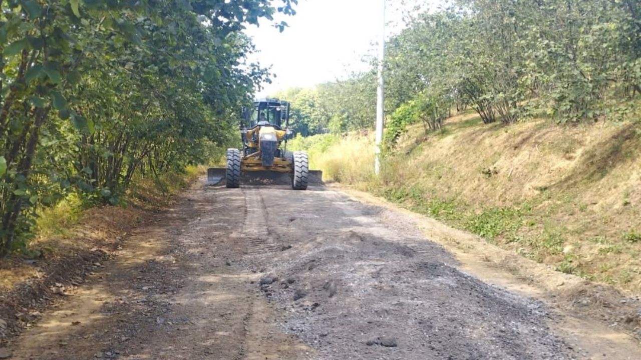 Cumayeri Yeşiltepe Köyü'nde Yol Bakım Çalışmaları Tamamlandı