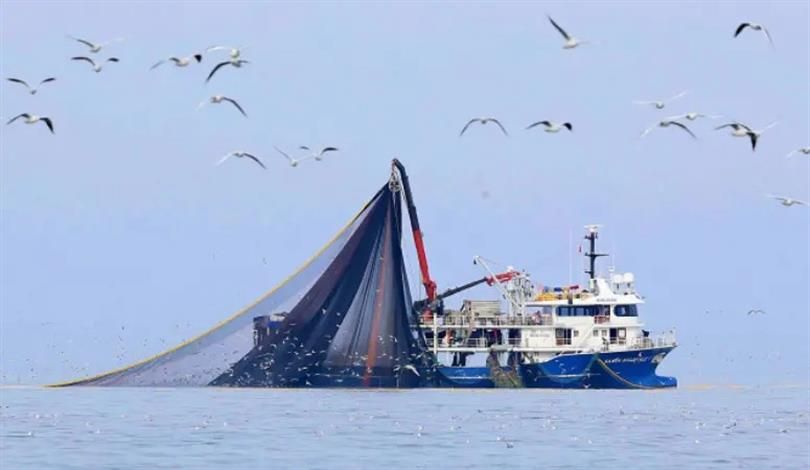 DENİZLERDE AV YASAĞI 15 NİSAN'DA BAŞLIYOR