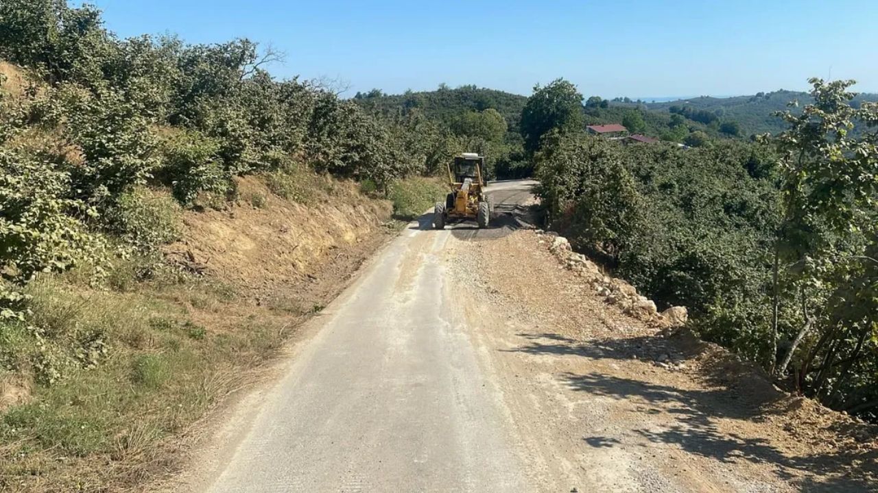 DÜZCE'DE 11 HEYELAN NOKTASINA MÜDAHALE TAMAMLANDI