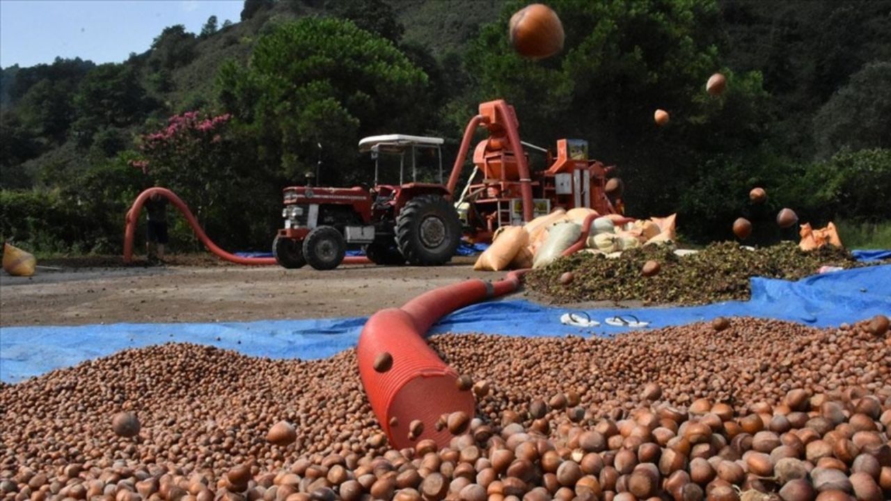 Düzce'de Çiftçinin Sıcakla ve Maliyetle İmtihanı Mazot Fiyatları Bel Büküyor