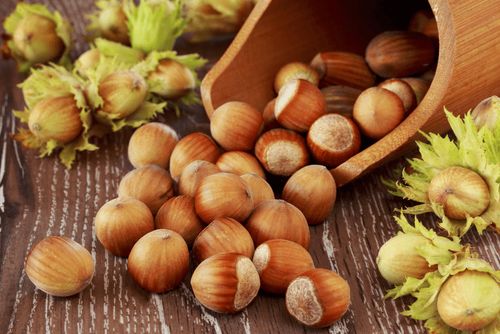 DÜZCE'DE FINDIK FİYATLARI BELİRSİZLİĞİ SÜRÜYOR