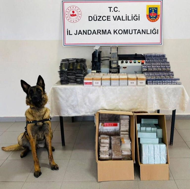 DÜZCE'DE KAÇAKÇILIK VE ORGANİZE SUÇLARA DARBE