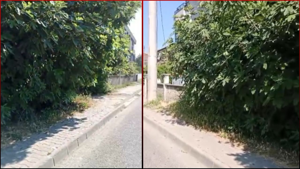DÜZCE'DE KALDIRIMLAR YÜRÜNMEZ HALDE; BELEDİYE'NİN İHMALİ VATANDAŞI İSYAN ETTİRDİ