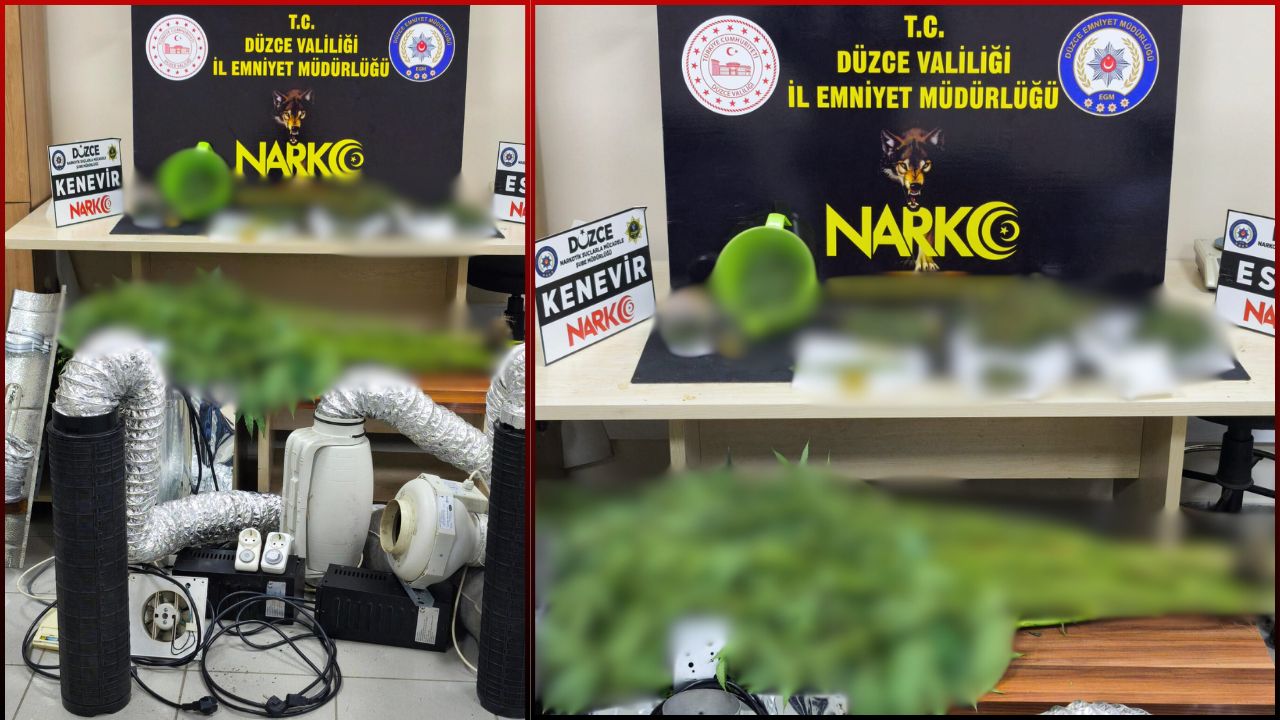 DÜZCE'DE NARKOTİK OPERASYONU
