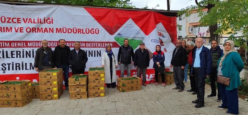 DÜZCE'DE TARIM ARAZİLERİNİN KULLANIMININ ETKİNLEŞTİRİLMESİ PROJESİ KAPSAMINDA FİDE DAĞITIMI YAPILDI