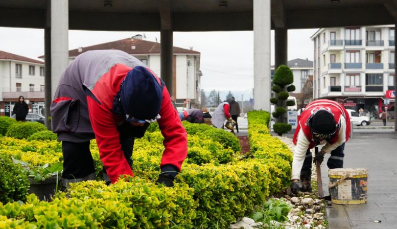 DÜZCE'DE YEŞİL ALANLAR DAHA SAĞLIKLI VE ESTETİK HALE GETİRİLİYOR