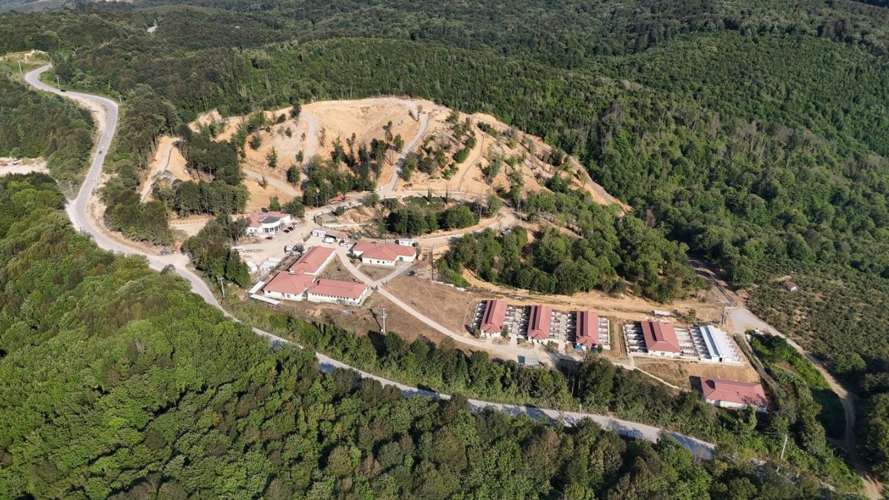 Düzce Hayvan Konukevi'nde 80 Bin Metrekarelik Yeni Yaşam Alanı Hizmete Alındı