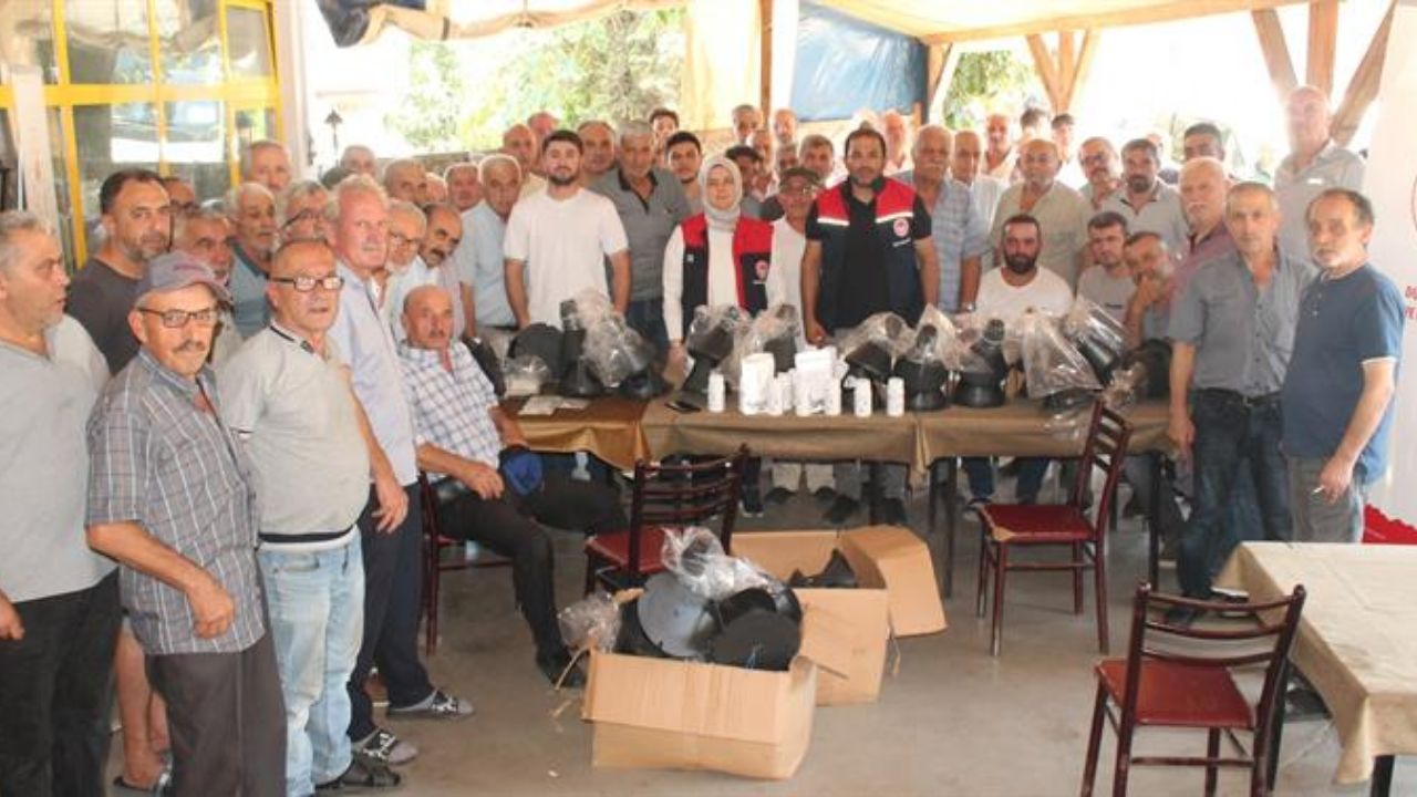 Düzce Tarımını Kahverengi Kâbus Sardı; İl Müdürü Esra Uzun'dan Alarm Zilini Çaldıran Açıklama
