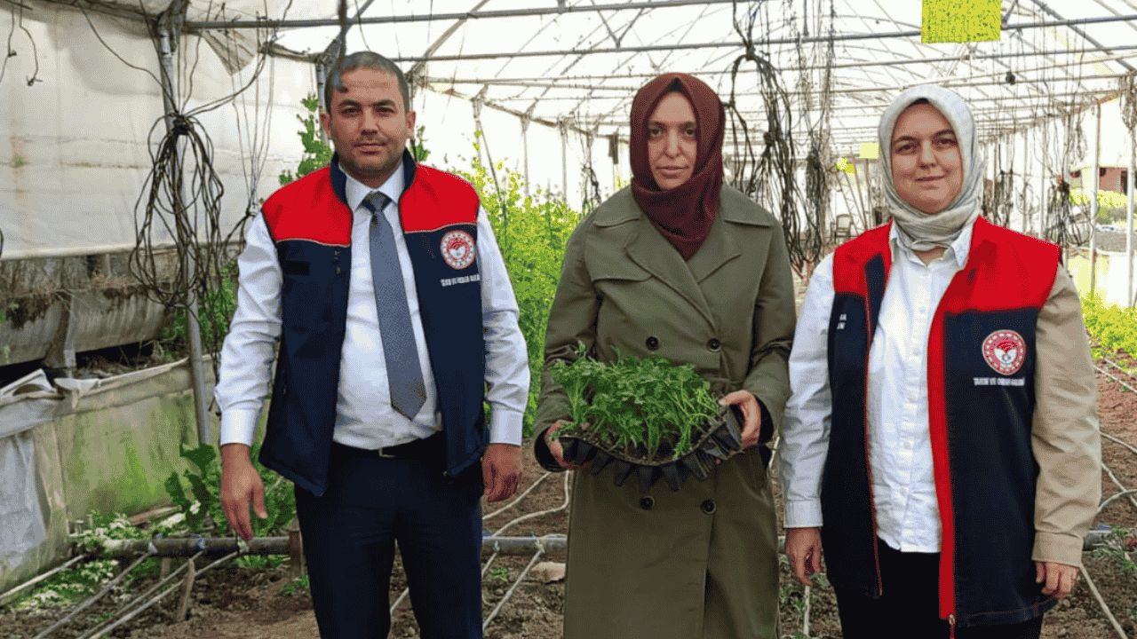 ESRA UZUN SAHAYA İNDİ KADIN ÜRETİCİLERLE OMUZ OMUZA FİDE DİKTİ