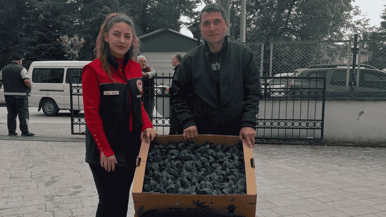 GÖLYAKA'DA ÜRETİME DESTEK ÇİFTÇİLERE BİBER FİDESİ DAĞITILDI