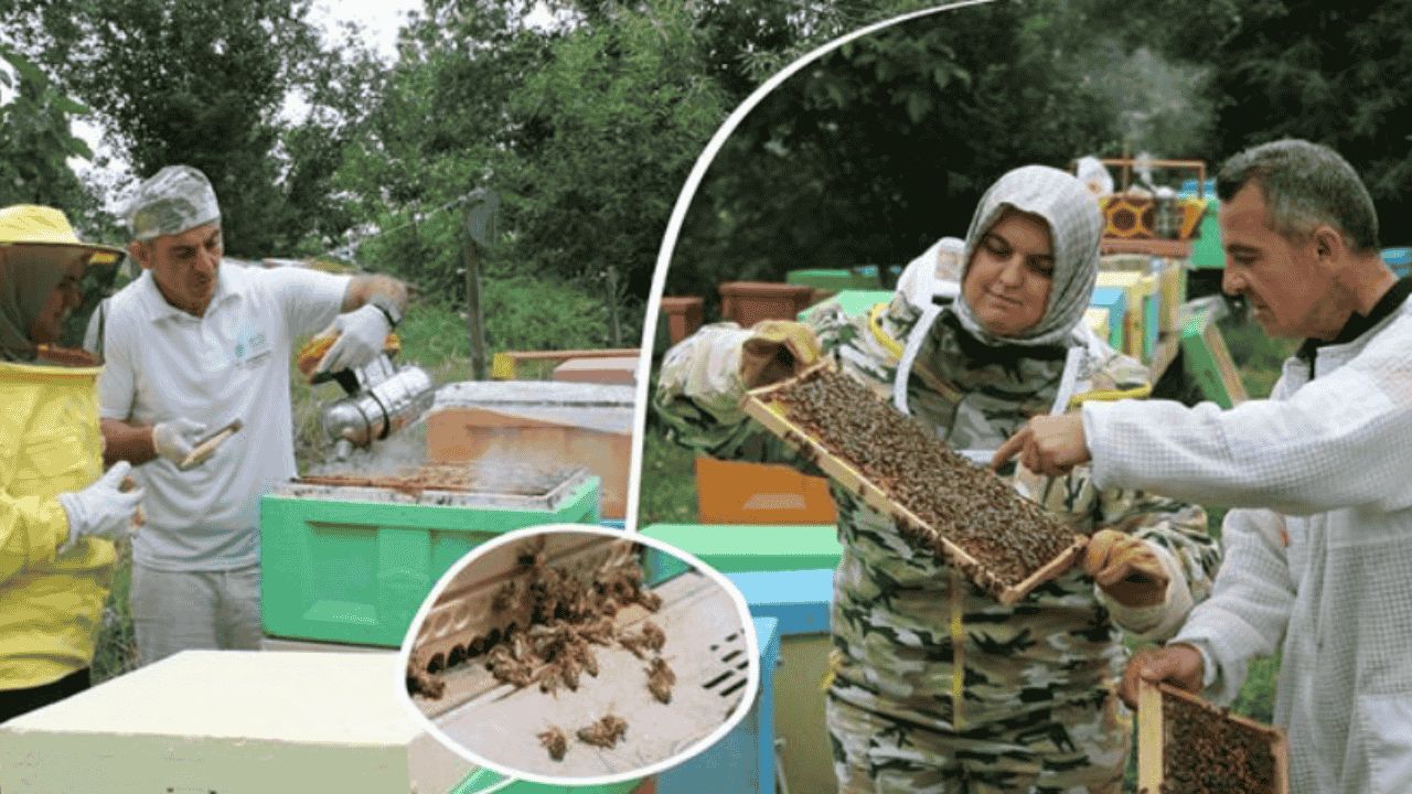 İL MÜDÜRÜ ESRA UZUN, 20 MAYIS DÜNYA ARI GÜNÜ'NÜ KUTLADI