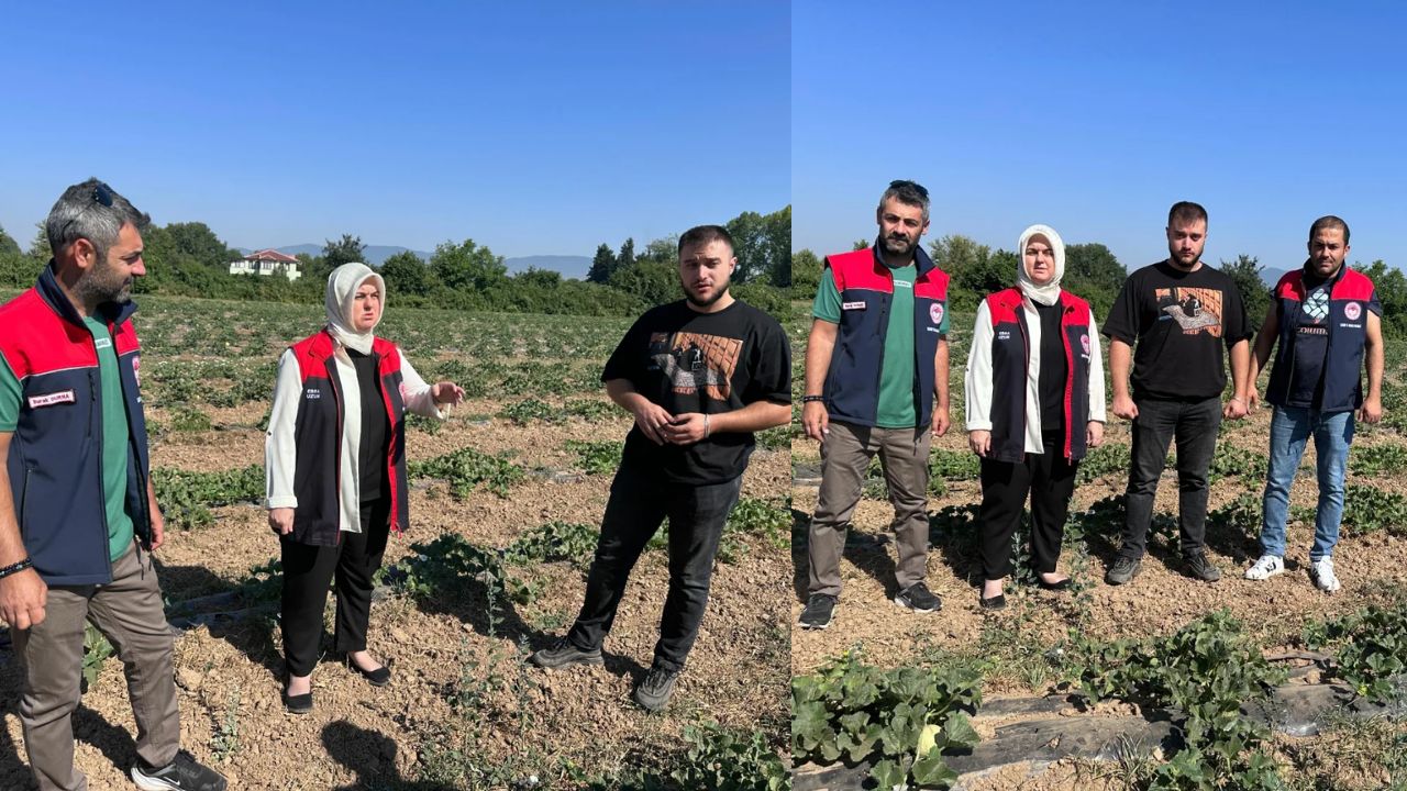 Kirazlı Köyü'nde Genç Çiftçiden Örnek Tarım Hamlesi