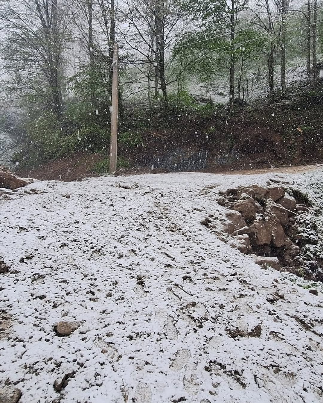 KURTSUYU KÖYÜ VE DÜZCE'NİN YÜKSEK KESİMLERİNDE KAR YAĞIŞI