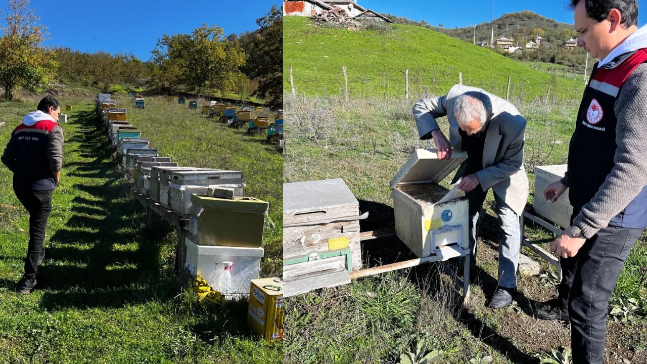 Yığılca'da 2025 Yılı Arılı Kovan Sayımı Tamamlandı